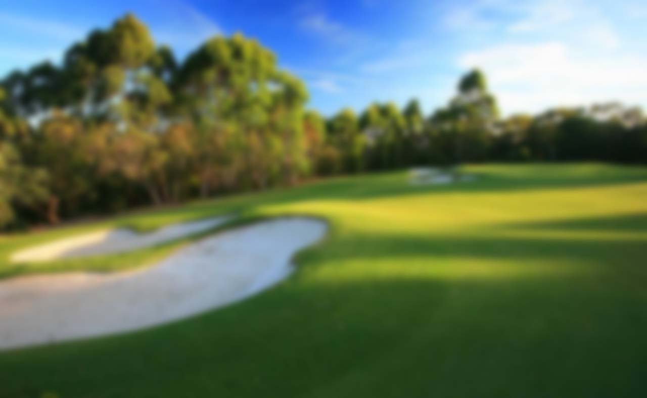 Golf Lessons in Houston