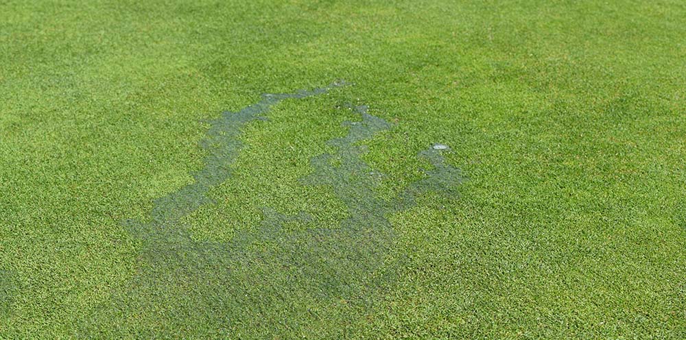 Reading Greens