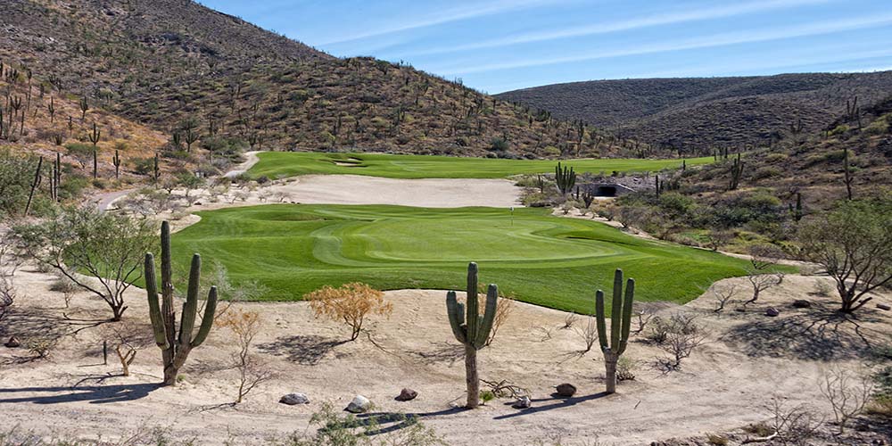 Golf in the Desert