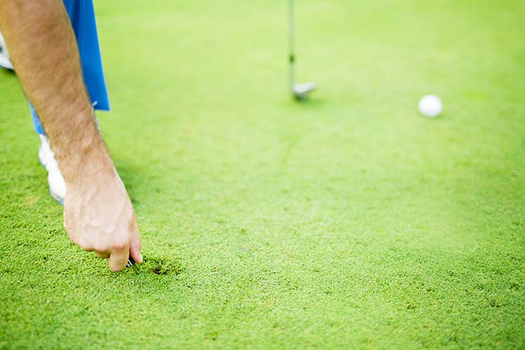 Fixing a Pitchmark on the Fringe of the Green